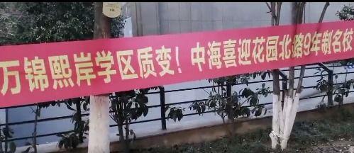 中花校园最新版爆料视频,揭秘校园风云与青春故事
