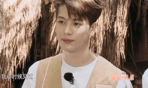 王嘉尔再度爆料视频大全,再度爆料视频大全背后的故事  第3张